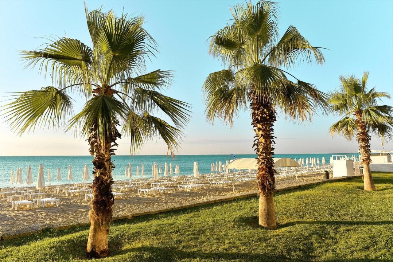 Sentido Marea - 3
