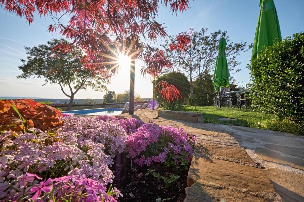 Villa Arbanashki Han - 2
