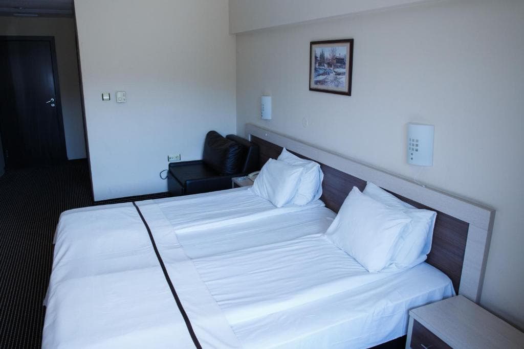 Spa Hotel Kleptuza, Velingrad - 9