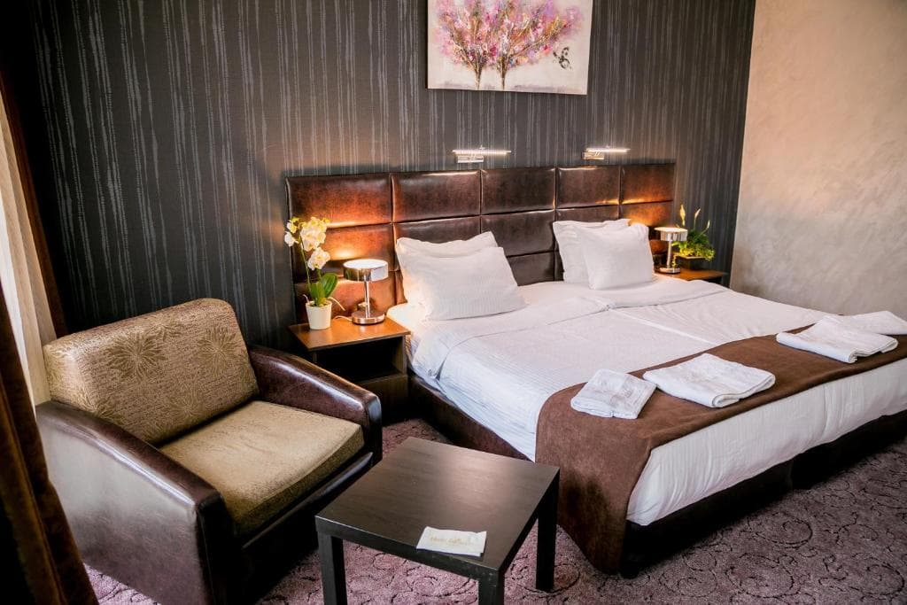 Zdravets SPA Hotel - 9