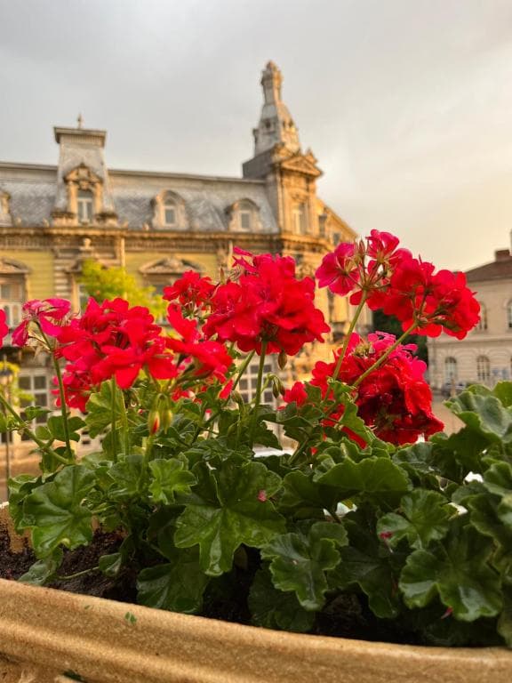 Hotel Anna Palace, Ruse - 20