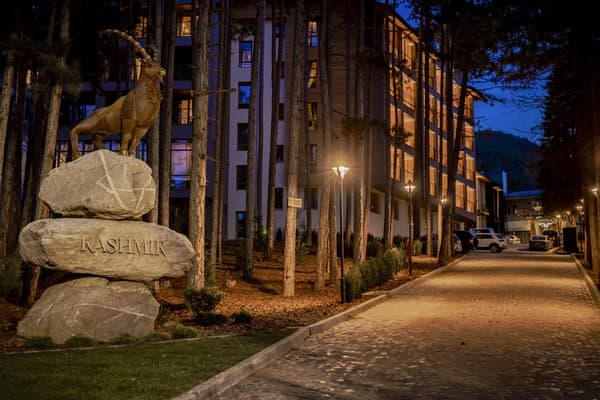 Kashmir Wellness & Spa Hotel - 4
