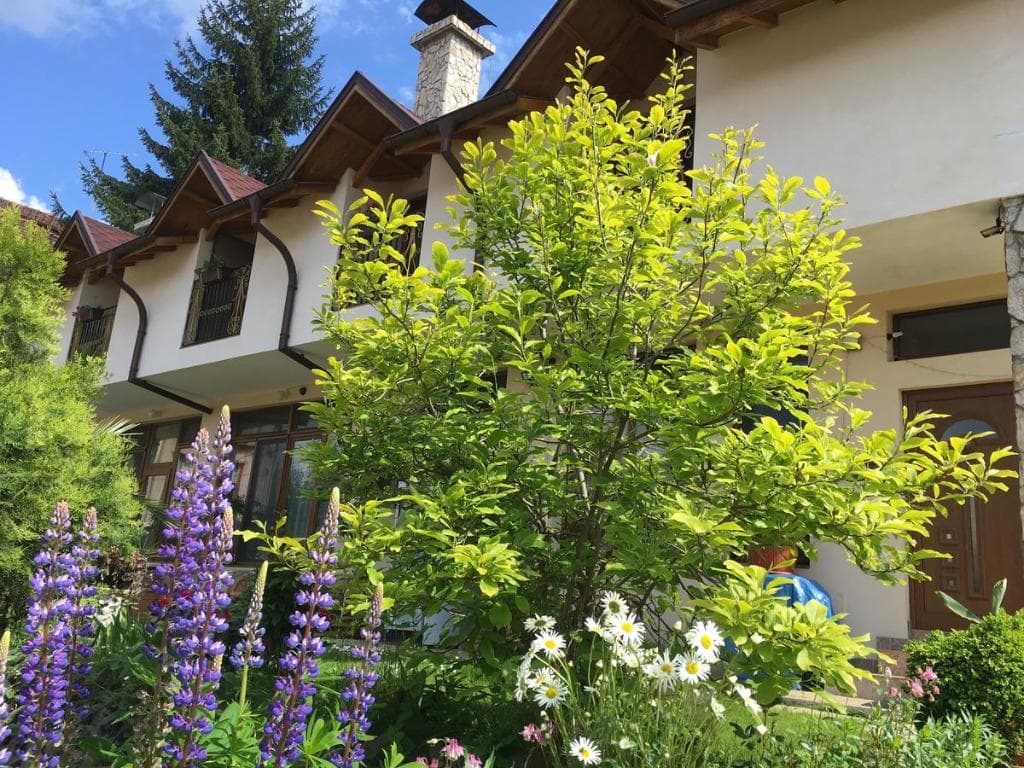 Guest House Elizabet - 9
