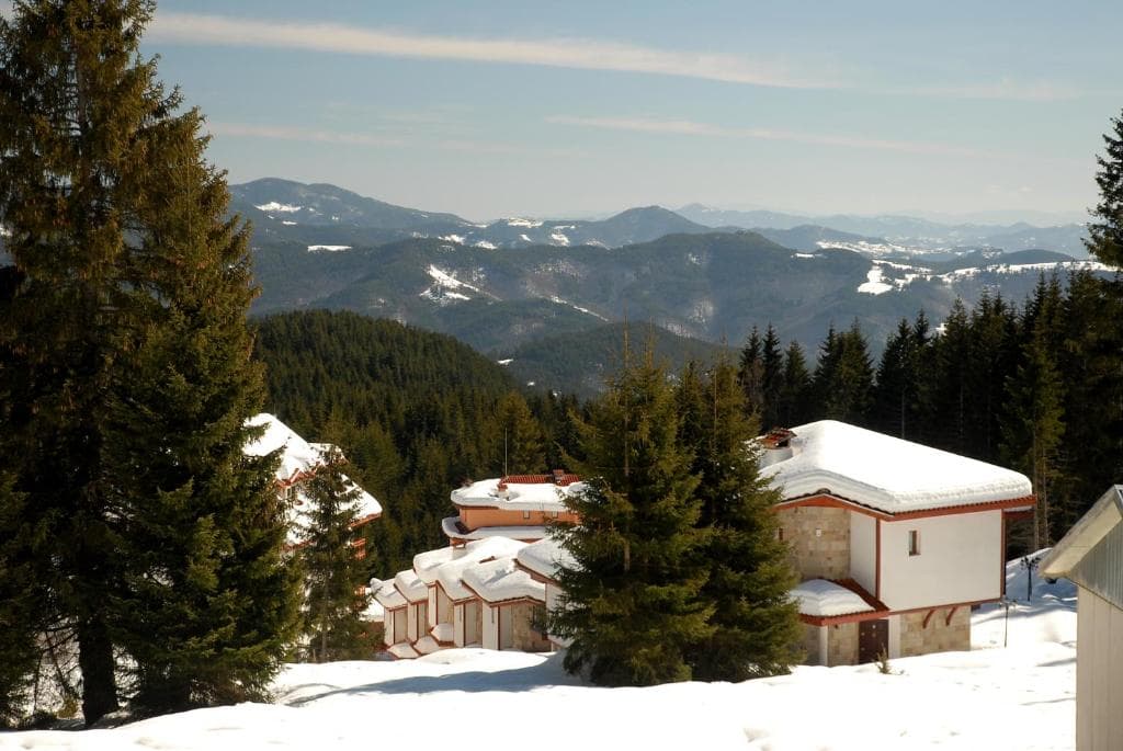 Hotel Forest Glade - 7