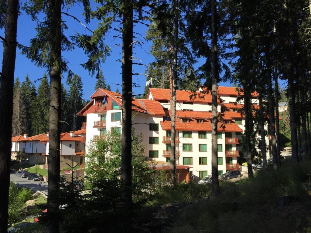 Hotel Forest Glade - 4